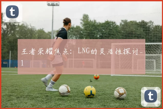 王者荣耀焦点：LNG的灵活性探讨_1