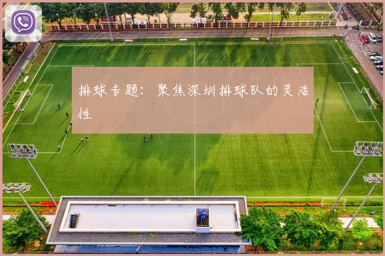 排球专题：聚焦深圳排球队的灵活性
