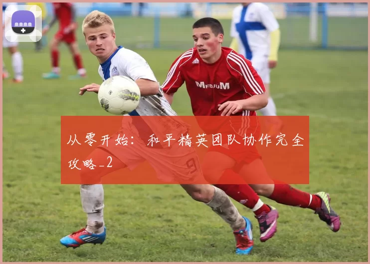 从零开始：和平精英团队协作完全攻略_2