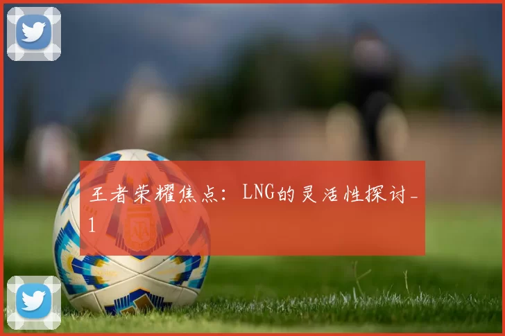 王者荣耀焦点：LNG的灵活性探讨_1
