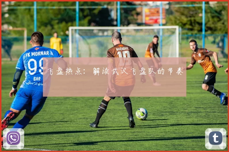 飞盘热点：解读武汉飞盘队的节奏