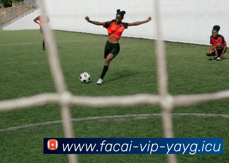 星空体育全站App